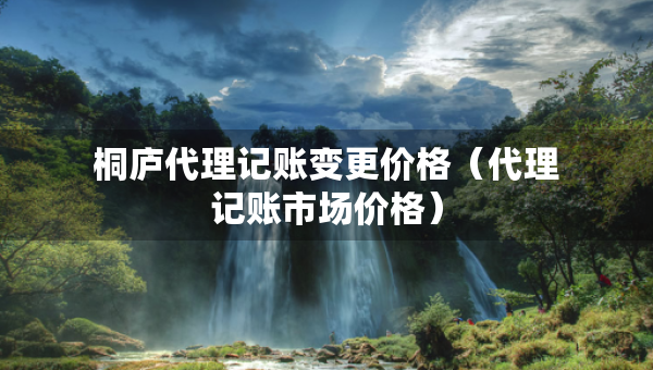 桐廬代理記賬變更價格（代理記賬市場價格）