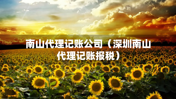 南山代理記賬公司（深圳南山代理記賬報稅）