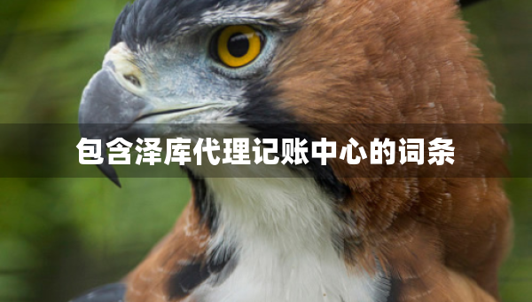 包含澤庫(kù)代理記賬中心的詞條