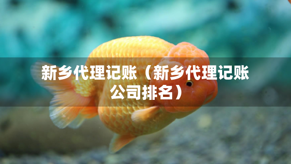 新鄉(xiāng)代理記賬（新鄉(xiāng)代理記賬公司排名）