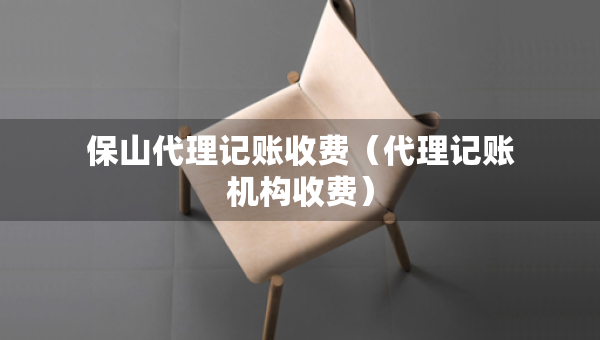 保山代理記賬收費（代理記賬機構(gòu)收費）