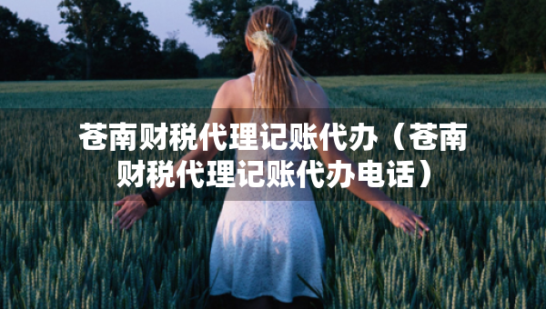 蒼南財(cái)稅代理記賬代辦（蒼南財(cái)稅代理記賬代辦電話）