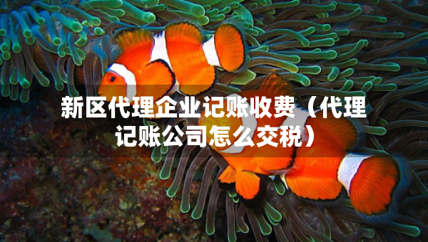 新區(qū)代理企業(yè)記賬收費(fèi)（代理記賬公司怎么交稅）