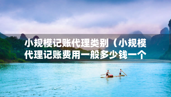 小規(guī)模記賬代理類別（小規(guī)模代理記賬費(fèi)用一般多少錢一個(gè)月）