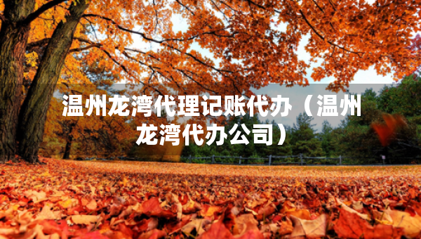 溫州龍灣代理記賬代辦（溫州龍灣代辦公司）