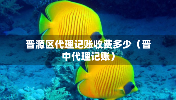 晉源區(qū)代理記賬收費多少（晉中代理記賬）