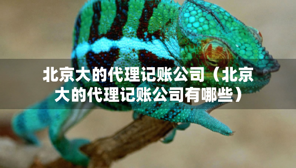 北京大的代理記賬公司（北京大的代理記賬公司有哪些）