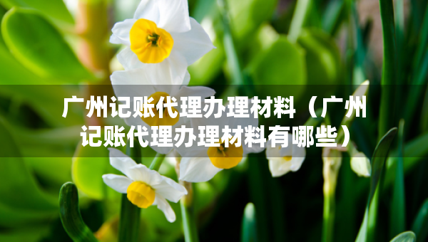 廣州記賬代理辦理材料（廣州記賬代理辦理材料有哪些）