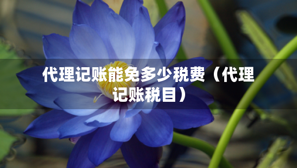 代理記賬能免多少稅費(fèi)（代理記賬稅目）