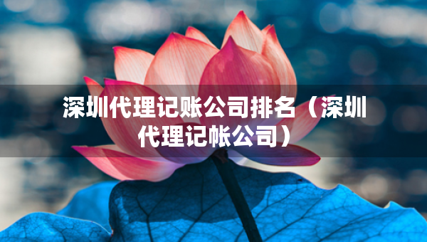 深圳代理記賬公司排名（深圳代理記帳公司）