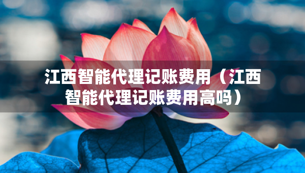江西智能代理記賬費用（江西智能代理記賬費用高嗎）
