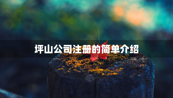 坪山公司注冊的簡單介紹