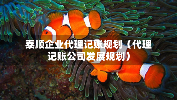 泰順企業(yè)代理記賬規(guī)劃（代理記賬公司發(fā)展規(guī)劃）