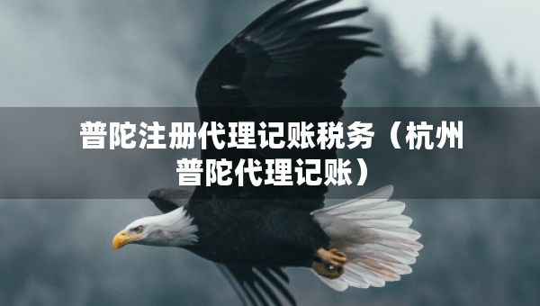 普陀注冊(cè)代理記賬稅務(wù)（杭州普陀代理記賬）