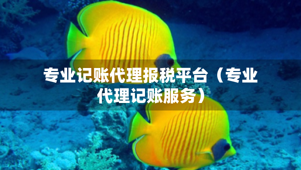 專業(yè)記賬代理報(bào)稅平臺（專業(yè)代理記賬服務(wù)）