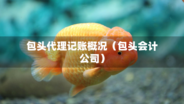 包頭代理記賬概況（包頭會(huì)計(jì)公司）