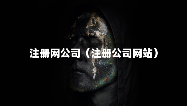 注冊(cè)網(wǎng)公司（注冊(cè)公司網(wǎng)站）