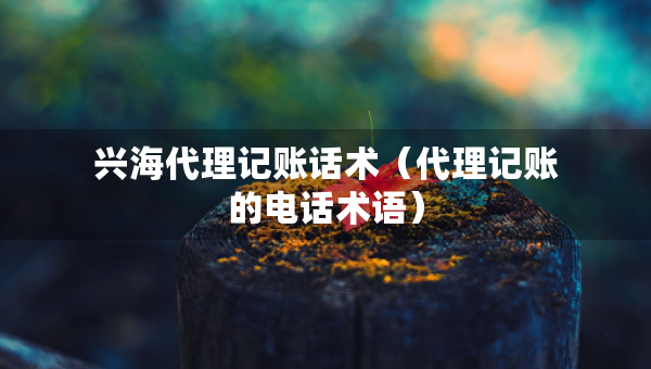 興海代理記賬話術(shù)（代理記賬的電話術(shù)語）