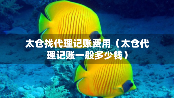 太倉(cāng)找代理記賬費(fèi)用（太倉(cāng)代理記賬一般多少錢）