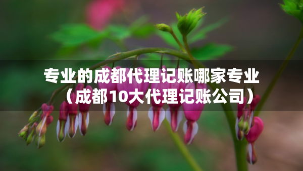 專業(yè)的成都代理記賬哪家專業(yè)（成都10大代理記賬公司）