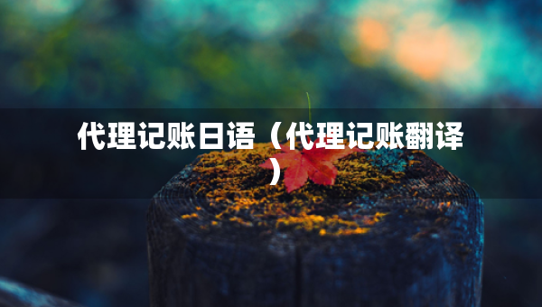 代理記賬日語(yǔ)（代理記賬翻譯）
