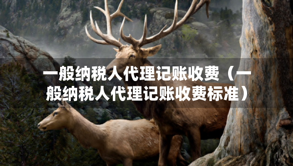 一般納稅人代理記賬收費（一般納稅人代理記賬收費標準）
