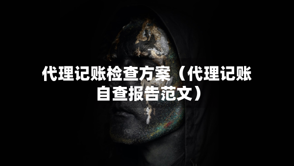 代理記賬檢查方案（代理記賬自查報告范文）