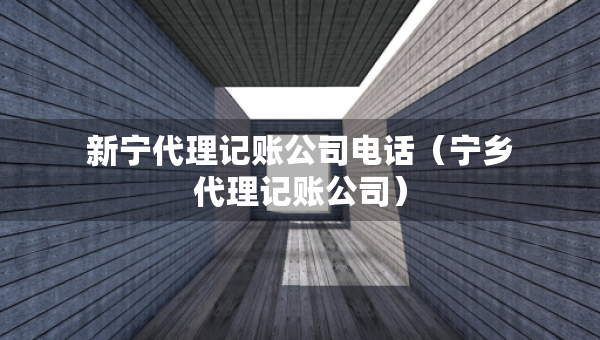 新寧代理記賬公司電話（寧鄉(xiāng)代理記賬公司）