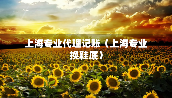 上海專業(yè)代理記賬（上海專業(yè)換鞋底）