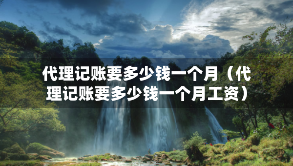代理記賬要多少錢一個月（代理記賬要多少錢一個月工資）