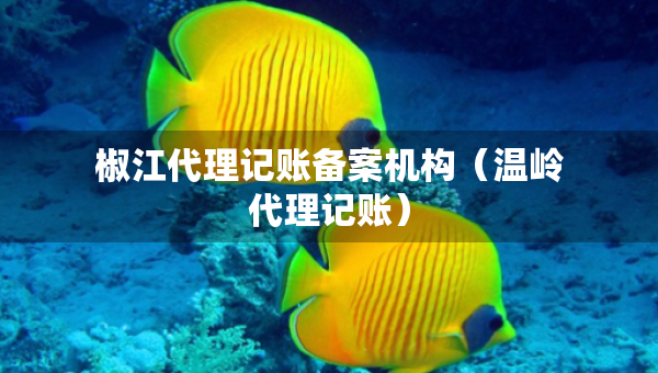 椒江代理記賬備案機(jī)構(gòu)（溫嶺代理記賬）