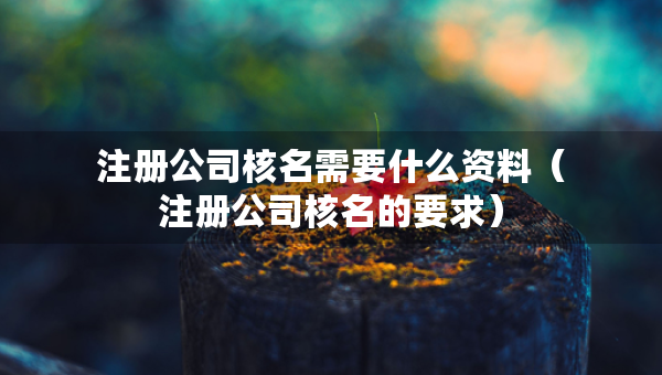 注冊公司核名需要什么資料（注冊公司核名的要求）