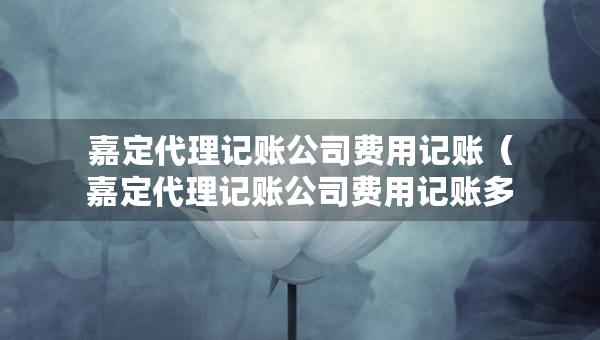 嘉定代理記賬公司費用記賬（嘉定代理記賬公司費用記賬多少）