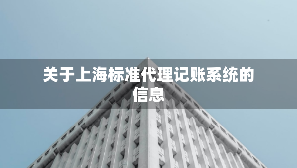 關(guān)于上海標(biāo)準(zhǔn)代理記賬系統(tǒng)的信息