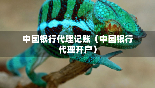 中國銀行代理記賬（中國銀行代理開戶）