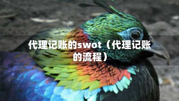 代理記賬的swot（代理記賬的流程）
