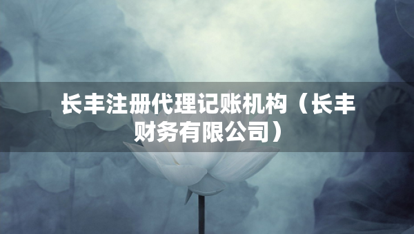 長豐注冊代理記賬機構(gòu)（長豐財務(wù)有限公司）
