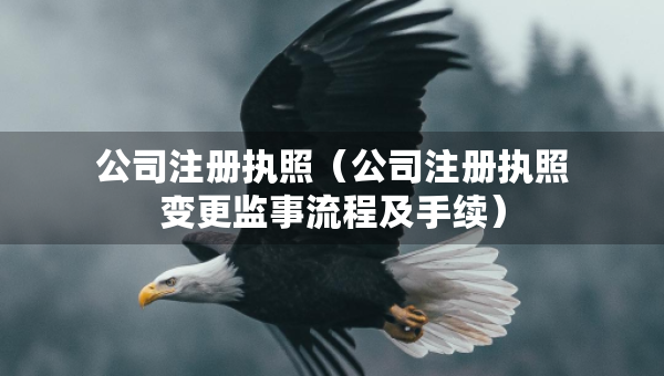 公司注冊(cè)執(zhí)照（公司注冊(cè)執(zhí)照變更監(jiān)事流程及手續(xù)）