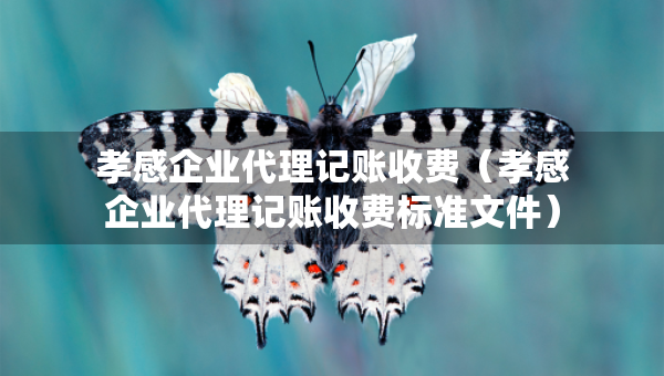 孝感企業(yè)代理記賬收費(fèi)（孝感企業(yè)代理記賬收費(fèi)標(biāo)準(zhǔn)文件）