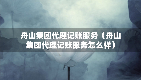 舟山集團(tuán)代理記賬服務(wù)（舟山集團(tuán)代理記賬服務(wù)怎么樣）