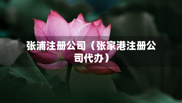 張浦注冊(cè)公司（張家港注冊(cè)公司代辦）