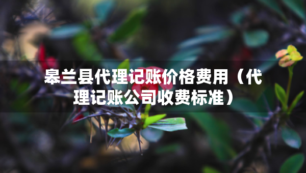 皋蘭縣代理記賬價格費用（代理記賬公司收費標(biāo)準(zhǔn)）