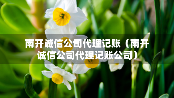 南開誠信公司代理記賬（南開誠信公司代理記賬公司）