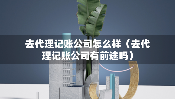 去代理記賬公司怎么樣（去代理記賬公司有前途嗎）