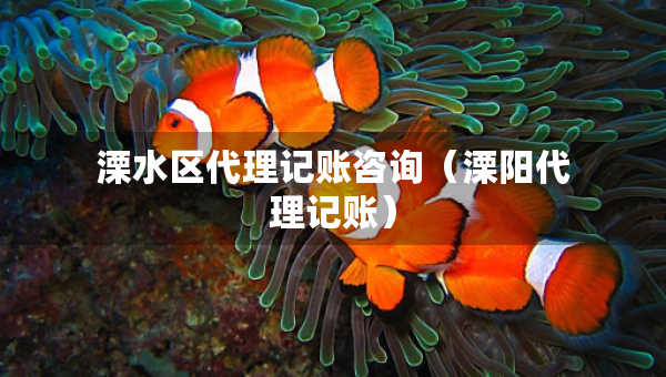 溧水區(qū)代理記賬咨詢（溧陽代理記賬）
