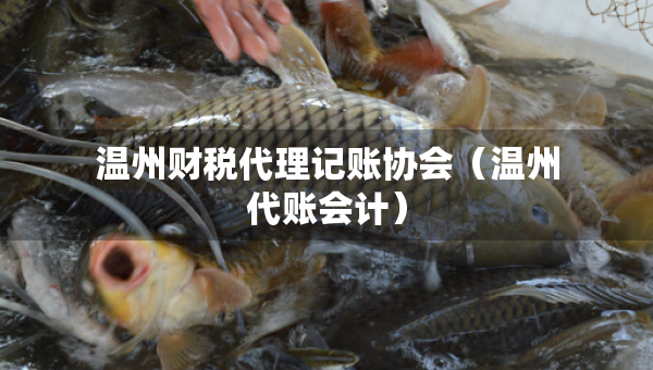 溫州財稅代理記賬協(xié)會（溫州代賬會計）