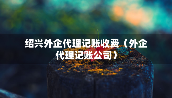 紹興外企代理記賬收費(fèi)（外企代理記賬公司）