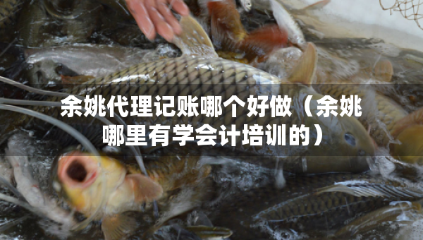 余姚代理記賬哪個好做（余姚哪里有學會計培訓的）