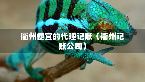 衢州便宜的代理記賬（衢州記賬公司）