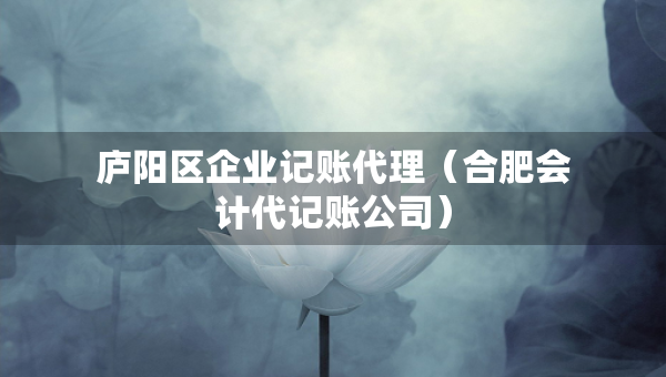 廬陽區(qū)企業(yè)記賬代理（合肥會(huì)計(jì)代記賬公司）